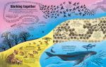 Can Animals Think? spread