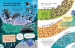 Big Book of Things to Know spread