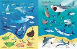 First Sticker Book Sharks and Rays spread