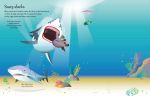 First Sticker Book Sharks and Rays spread