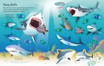 First Sticker Book Sharks and Rays spread