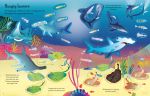 First Sticker Book Sharks and Rays spread
