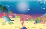 First Sticker Book Sharks and Rays spread