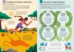 100 Things to Know About Sports spread