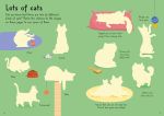 Little First Stickers Cats and Kittens spread