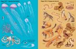 Big Sticker Book Deadly Animals spread