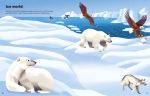 Big Sticker Book Deadly Animals spread