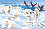 Big Sticker Book Deadly Animals spread