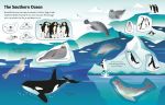 First Sticker Book Oceans spread