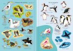 Les oiseaux page intérieure