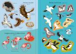 Les oiseaux page intérieure