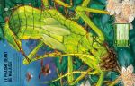 Construis tes Insectes géants et autres page intérieure