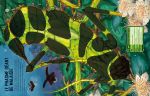 Construis tes Insectes géants et autres page intérieure