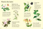 Mon petit guide de la nature page intérieure