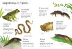 Mon petit guide de la nature page intérieure