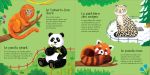 Le zoo page intérieure