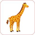 Le zoo page intérieure