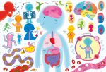Usborne Book and Jigsaw Human Body spread