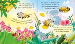 L'abeille page intérieure
