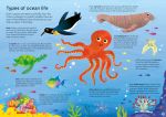 Usborne Book and Jigsaw Oceans spread