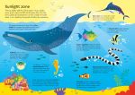 Usborne Book and Jigsaw Oceans spread