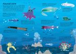 Usborne Book and Jigsaw Oceans spread