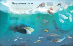 Extreme Planet: Journey Across The Arctic spread
