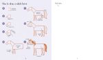 Step-by-step Drawing Horses and Ponies spread