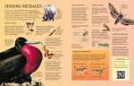 The Usborne Science Encyclopedia spread