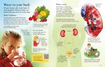 The Usborne Children's Encyclopedia spread
