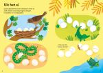 Babydieren spread