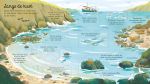 Zeeën en oceanen spread