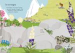 Fiori selvatici pagina interna
