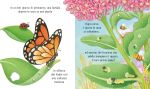 La farfalla pagina interna