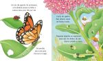 A borboleta miolo