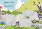 Les fleurs sauvages page intérieure