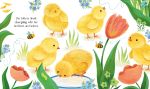One Little Chick spread
