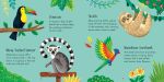 Zoo Matching Games and Book spread