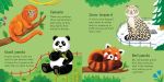 Zoo Matching Games and Book spread