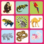 Zoo Matching Games and Book spread