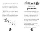 Pia's Pet Club: Guinea Pig Showtime spread