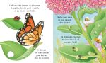 Le papillon page intérieure