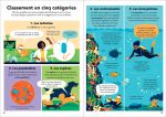 L'écologie pour les débutants page intérieure