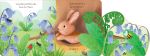 Le lapin page intérieure