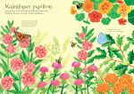 Les papillons page intérieure