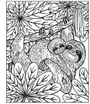 La forêt tropicale page intérieure