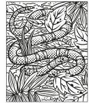 La forêt tropicale page intérieure