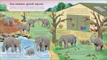 Le zoo page intérieure