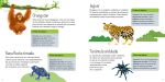 Animales salvajes página interior
