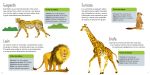Animales salvajes página interior